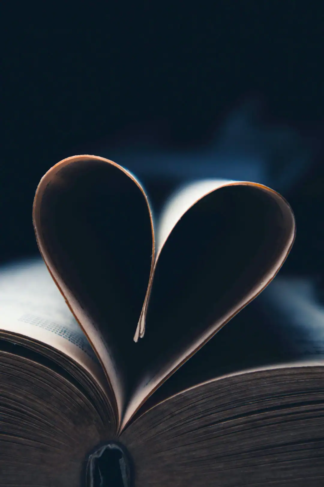 Book pages forming a heart shape.