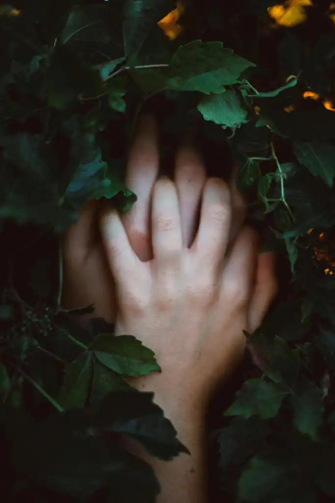 Hands intertwined among green leaves.